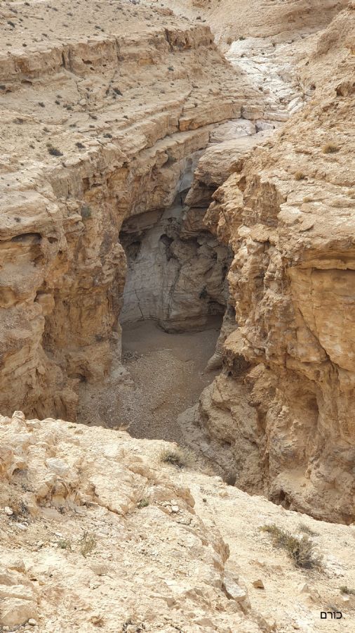 גבי חווה ריקים השנה
